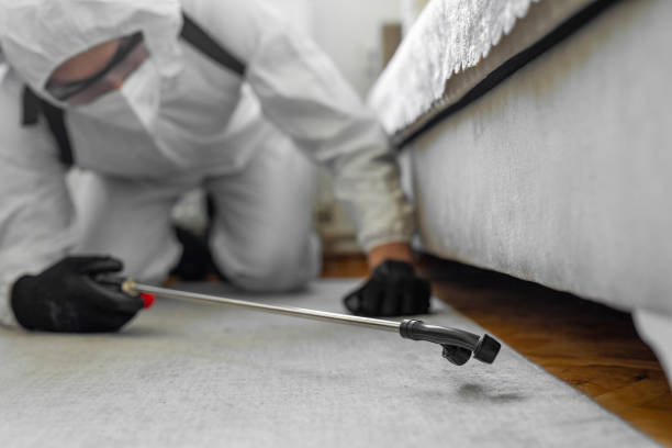 Professional Termite Control technician working in Amarillo, TX