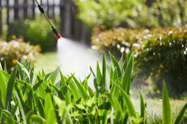 24/7 Emergency Termite Control experts in Amarillo, TX