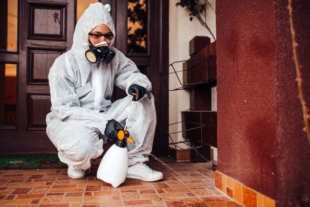 Reliable Termite Control contractor in Amarillo, TX by Nex Pest Control