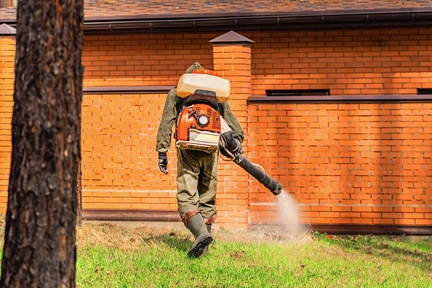 Top rated local Termite Control specialists in Amarillo, TX